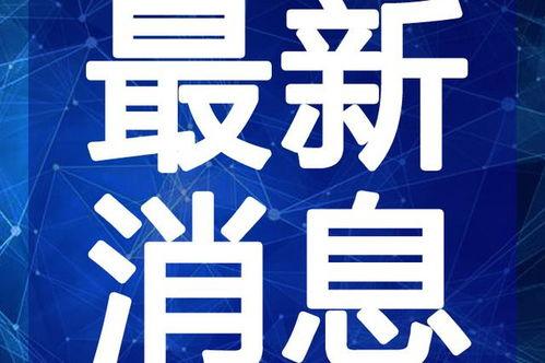 纳威莱特最新爆料视频大全,揭秘幕后真相与惊人内幕