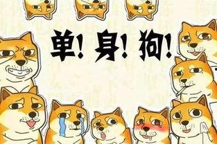 单身狗网友爆料绿豆视频,绿豆视频背后的秘密