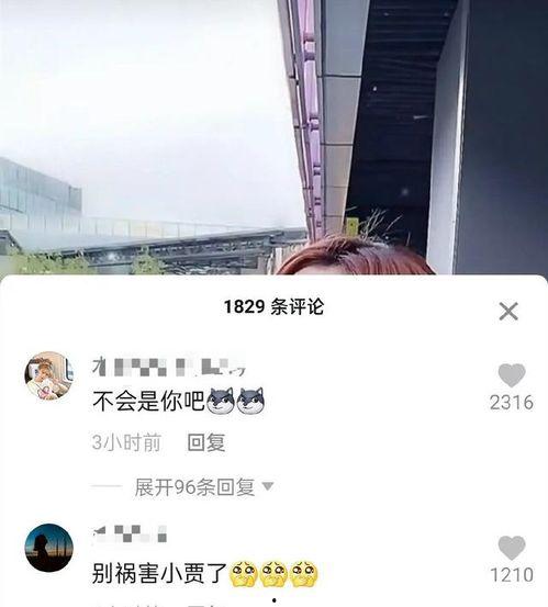 范丞丞刘大锤爆料视频,揭秘娱乐圈幕后真相