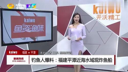 钓鱼爆料视频大全下载最新,最新爆料视频大全，精彩瞬间一网打尽！